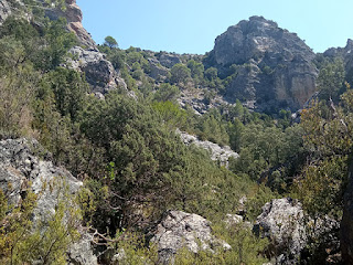 Barranco de Fuente Labrada