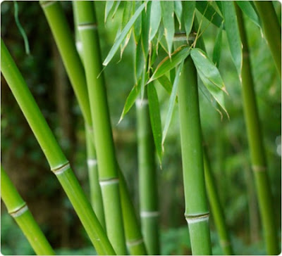 Aneka Kreasi Kerajinan  Bambu  Indo Poster