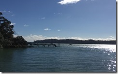 IMG_3570
