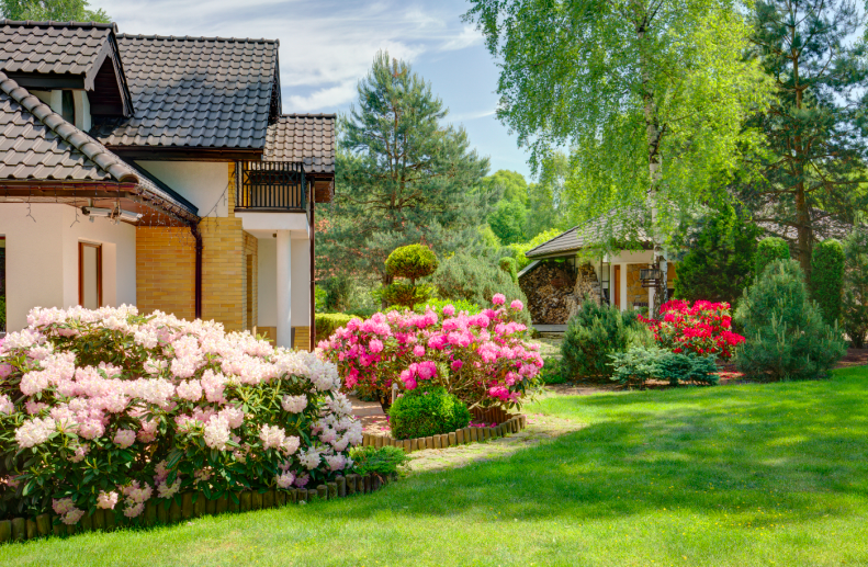 house in spring