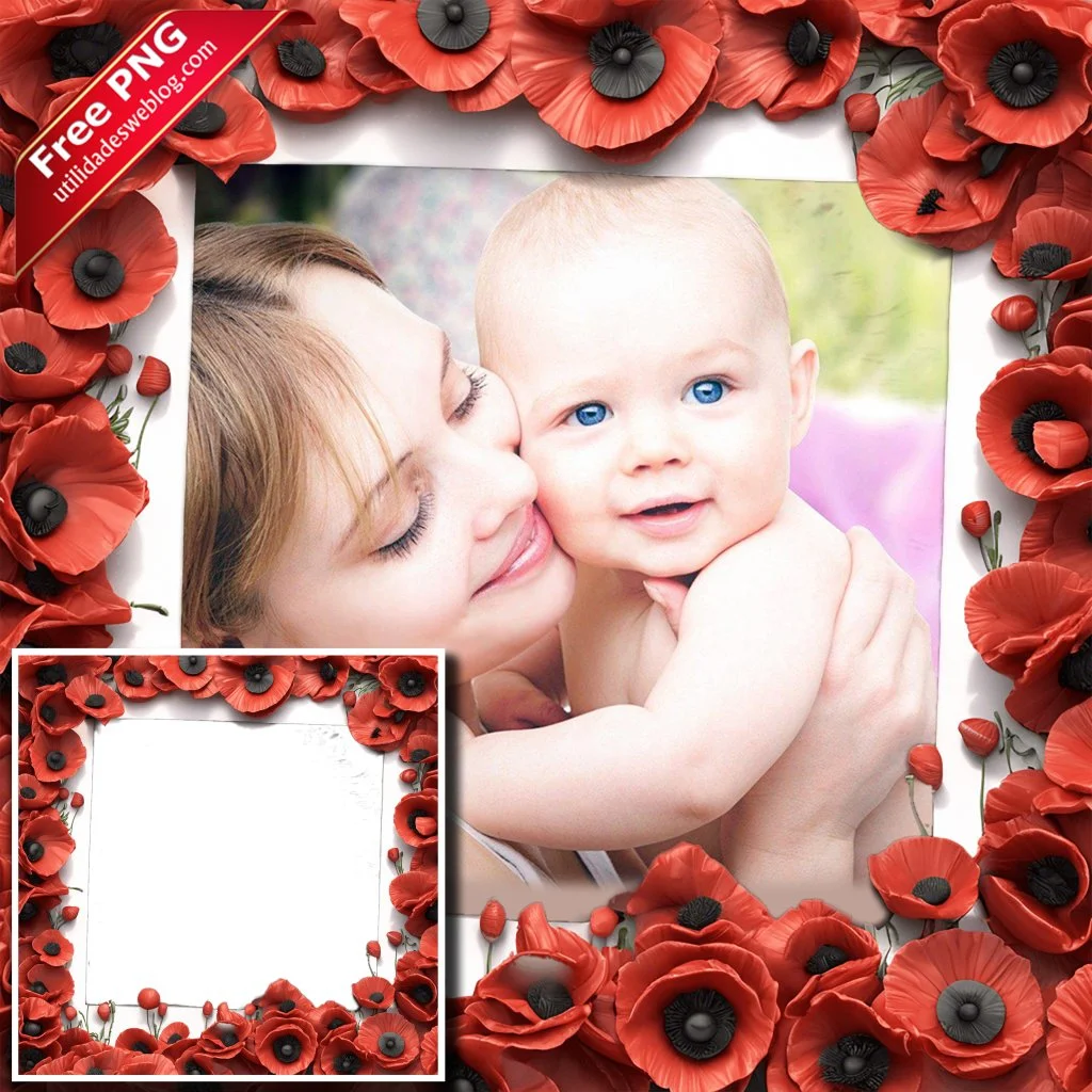 marco para fotos con flores de poppies o amapolas rojas en png con fondo transparente para descargar gratis