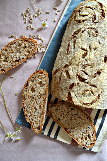 pane integrale a lievitazione naturale