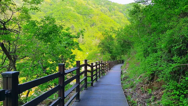 가평 연인산