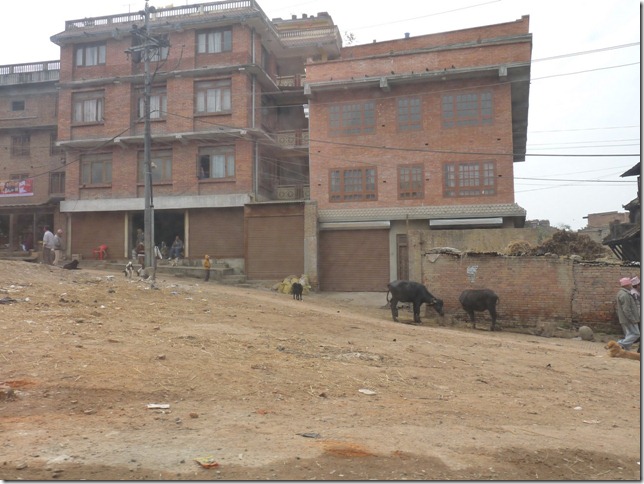 2008.12_india_1979