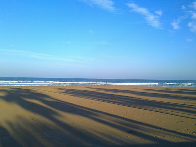 Palmeras reflejadas en la arena de la playa de la Malvarosa Valencia