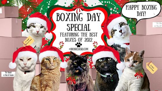 Boxing Day Special Banner ©BionicBasil® 2022