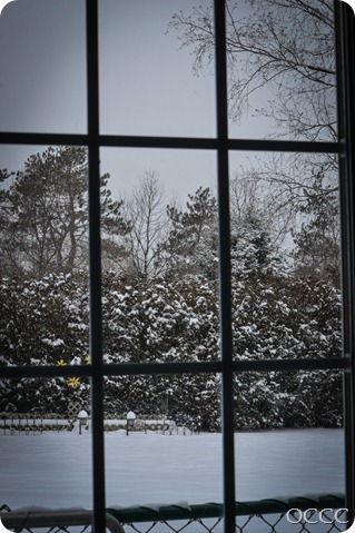 winter scene (1 of 1)-6