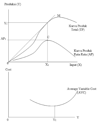 Kurva Biaya Variabel Rata-rata (Average Variable Cost)