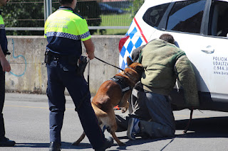 Los perros de la Policía Municipal muestran sus habilidades en Retuerto en una sofocante jornada