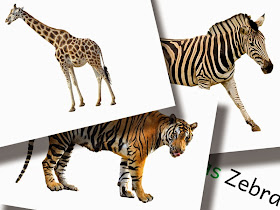 DaZ Material Tiere Bildkarten zur Sprachförderung kostenlos downloaden