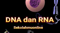 Apa yang kamu ketahui tentang DNA dan RNA?