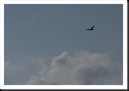 20090827_172756