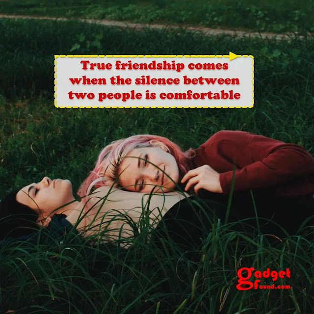 Friendship day quotes for best friend