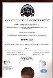 ISO 14001:2004 EMS Certificate Consultants in India Delhi NCR Kolkatta Gurgaon Manesar