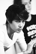 6. Member EXO yang pertama kali di reveal oleh SM adalah KAI (23 Desember . (exo kai )