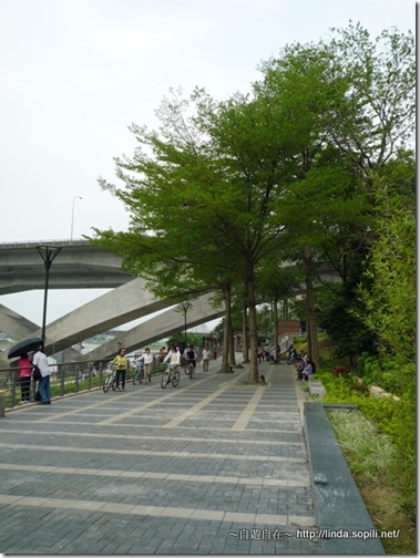 碧潭自行車遊07