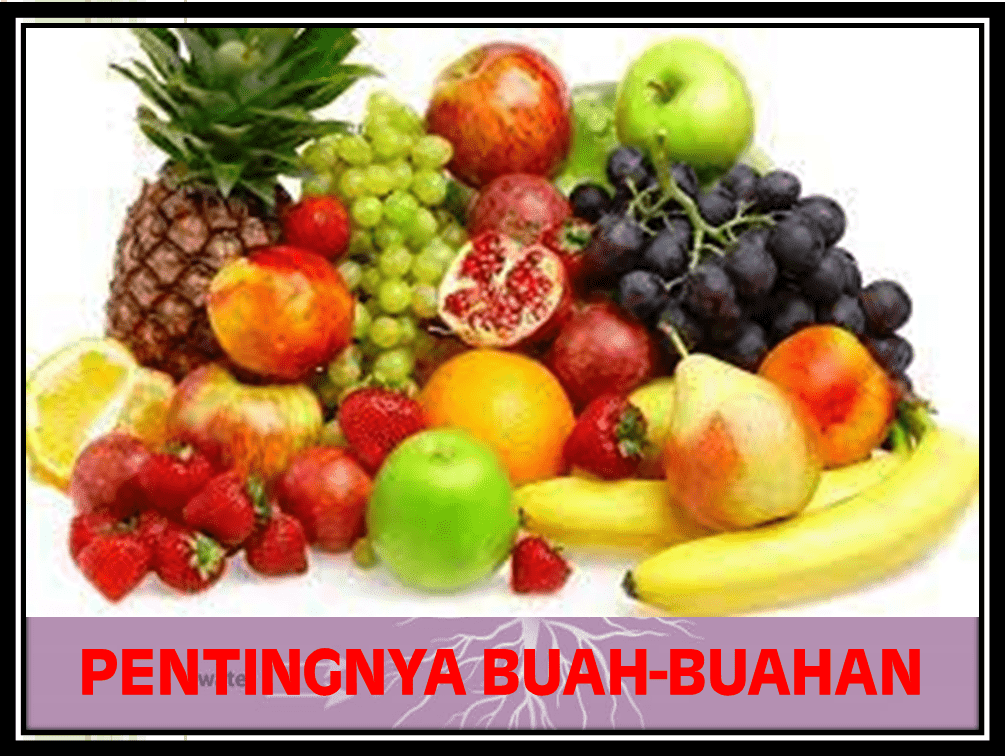 Isyarat Al-Qur'an Pentingnya Buah-buahan Bagi Tubuh