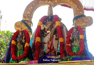 Dhavanautsavam,Day 04,Vaibhavam,Thirumanjanam, Sri PArthasarathy Perumal, Perumal, Venkata Krishna , Varushotsavam, 2018, Video, Divya Prabhandam,Triplicane,Thiruvallikeni,Utsavam,