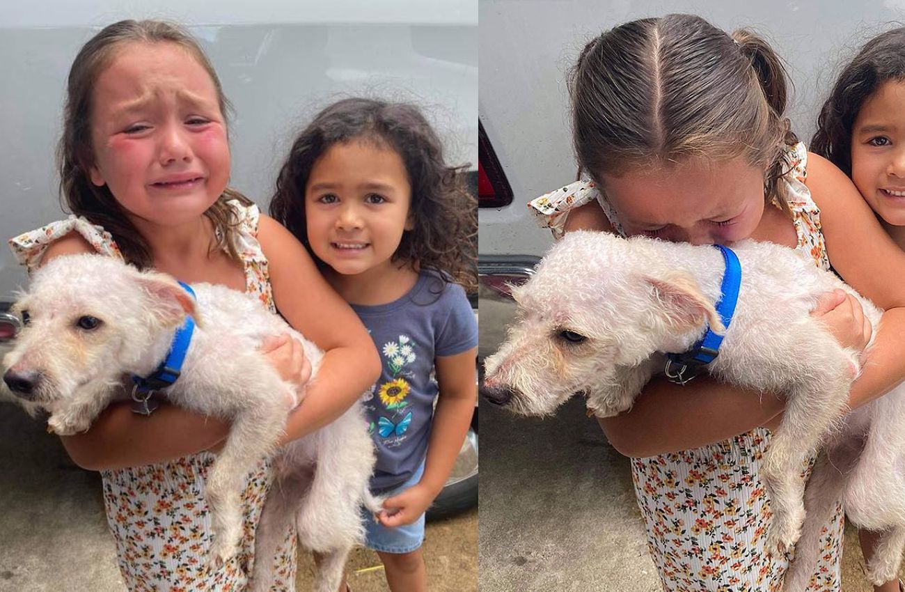 Menina chora de felicidade após reencontrar cachorro desaparecido por dois meses