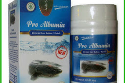 Jual Kapsul Pro Albumin Di Lampung Tengah | WA : 0857-4839-4402