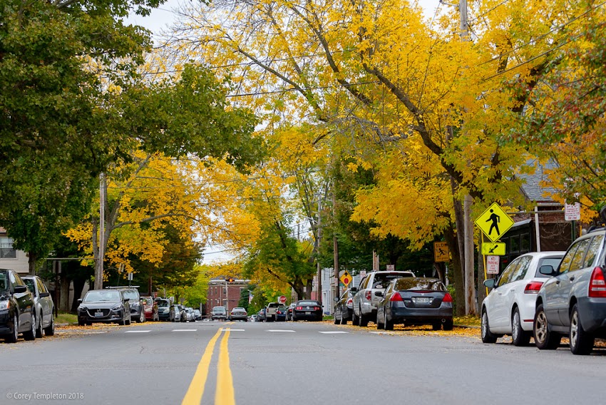 Portland, Maine USA October 2018 photo by Corey Templeton. From green to yellow on Danforth Street.