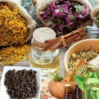 الطب بالأعشاب: دليلك الشامل للعلاج الطبيعي