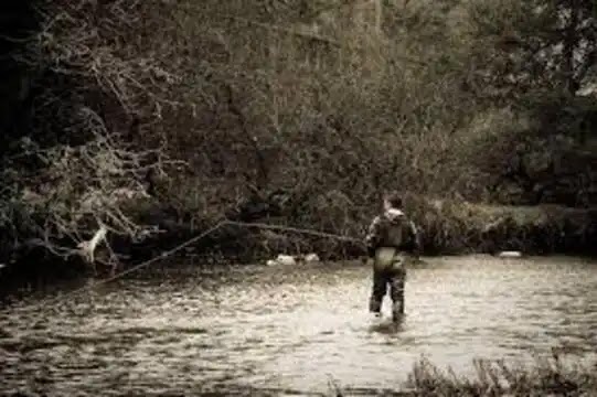 Fly Fishing History and Tips