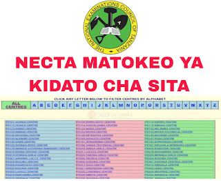 NECTA: Matokeo Ya Kidato Cha Sita 2023/Form Six Examination Results 2023