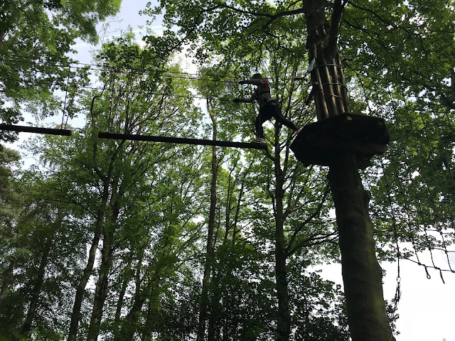 The Go Ape treetop challenge at Matfen Northumberland 