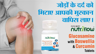 Galway Nutriflow Glucosamine With Boswellia Curcumin