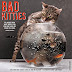 Obtenir le résultat Bad Kitties 2017 Calendar PDF