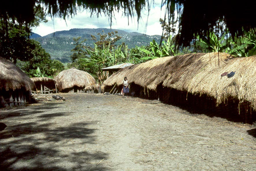 Budaya suku Asmat Pesona Nusantara