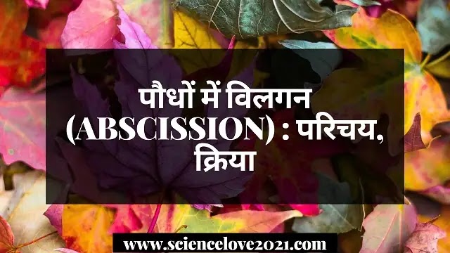 पौधों में विलगन (Abscission in Plants) : परिचय, क्रिया|hindi