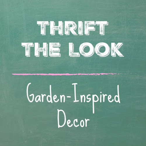 DIY Indoor Cactus Garden - Thrift the Look