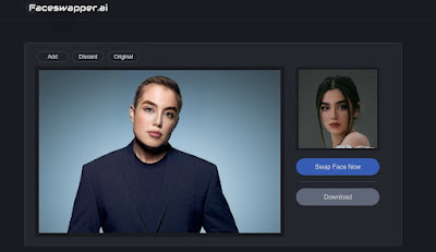 FaceSwapper.ai
