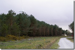 IMGP2288
