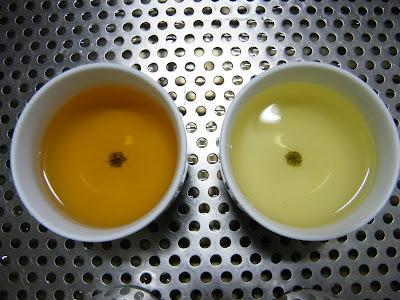 紅水烏龍茶 製作