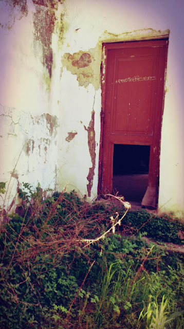 abandoned building door 2