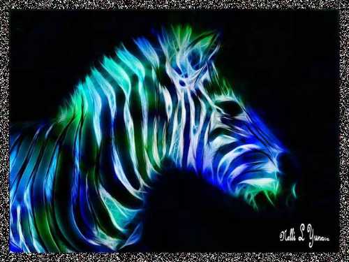 Amazing Light Paintings.5