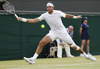 Del Potro-Ferrer