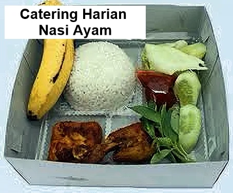 Catering Harian Nasi Ayam