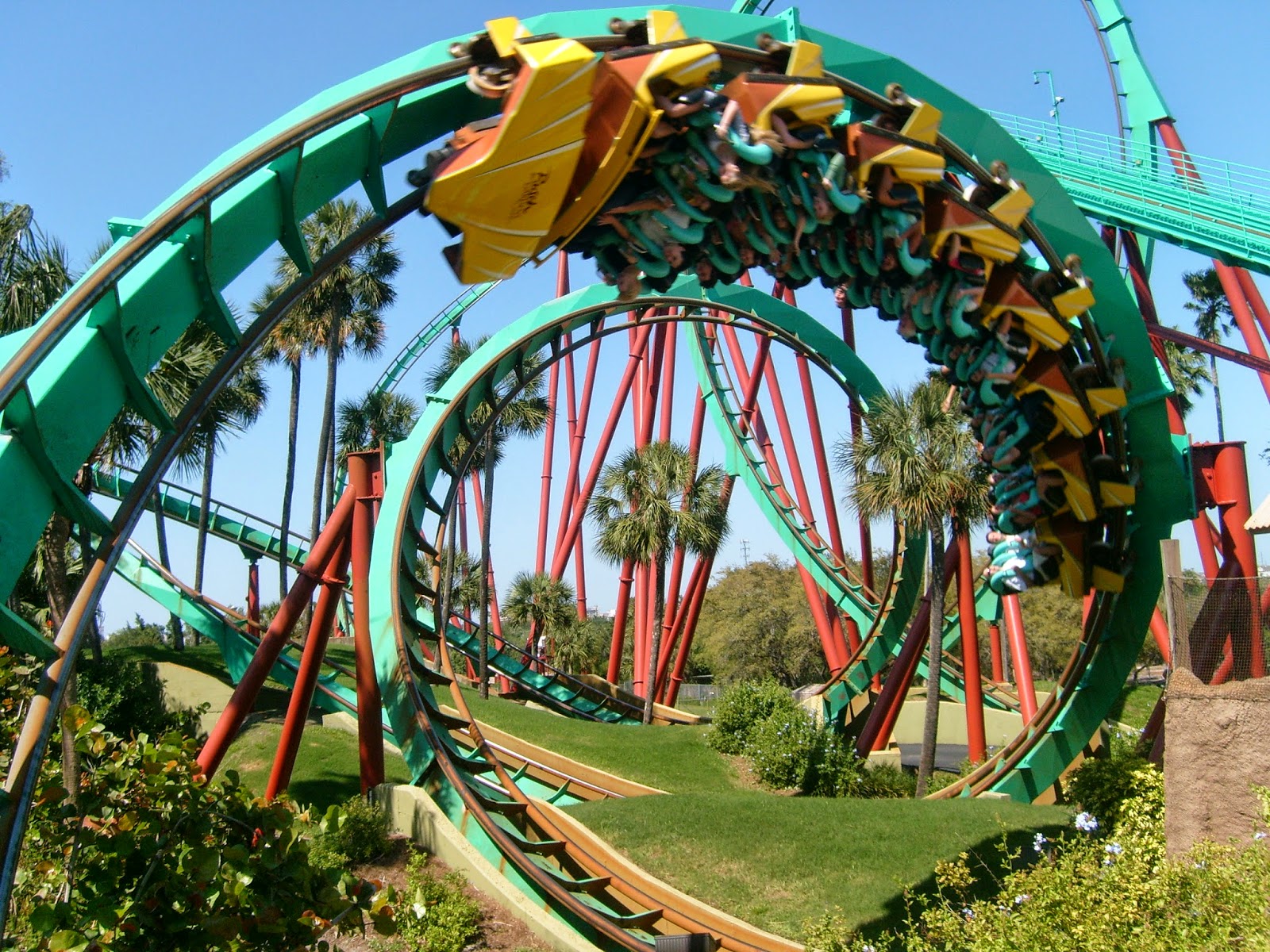  Busch  Gardens  Tampa  Bay  USA Travel Guide