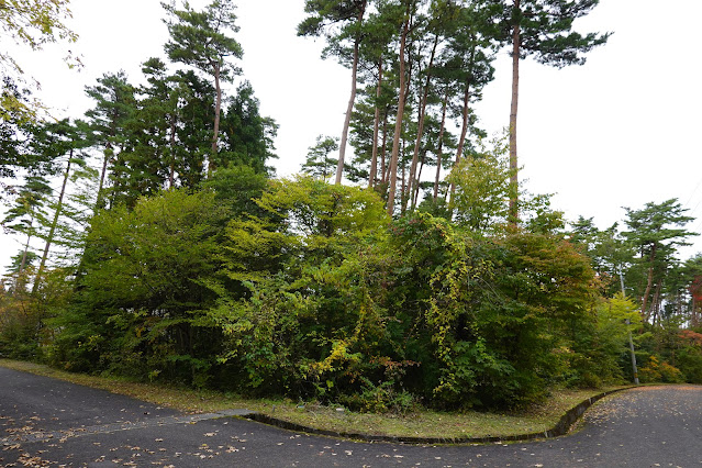 鳥取県西伯郡伯耆町丸山　ロイヤルシティ大山　別荘地