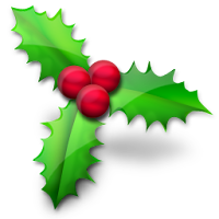 Holly Berries Happy holidays from Shannon Sorensen Designs