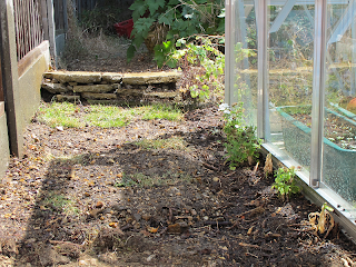 New path in the garden