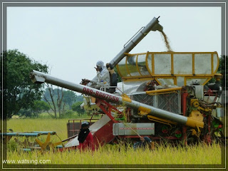 Reiserntemaschine Thailand