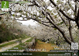 VIII Ruta Senderista del Cerezo en Flor (PR-CC2)