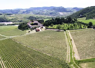 Cantine aperte in Vendemmia alla Tenuta Travaglino 3-10-17-24 Settembre Calvignano (PV)