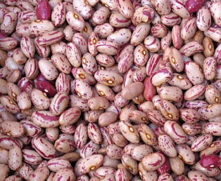 Fungsi kacang Merah untuk Kesehatan