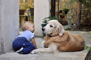 baby-dog-meeting